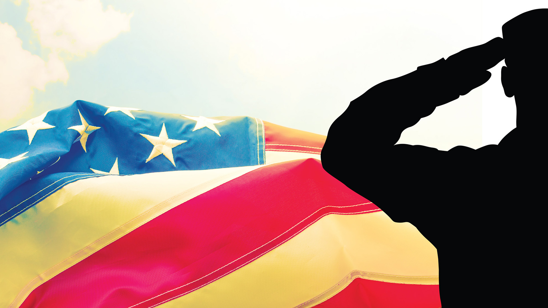 SALUTE the Flag
