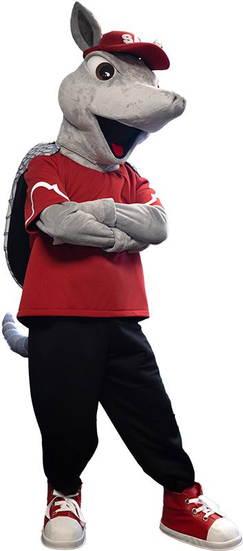 ace1.jpg