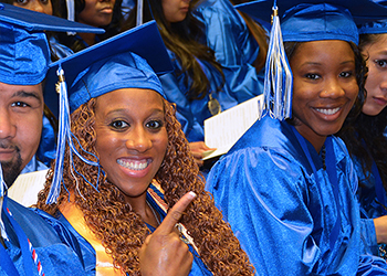 Alamo Institutes